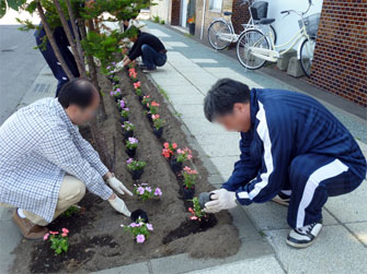 花植え