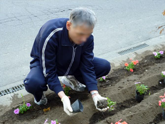 花植え