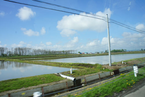 厚田朝市ツアー