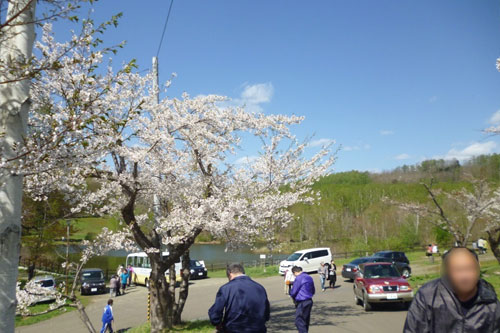 5月行事 花見