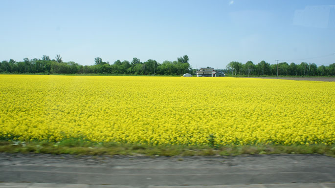 厚田朝市ツアー