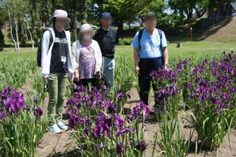 岩見沢市あやめ公園からの岩見沢バラ園