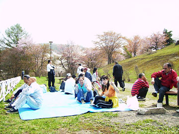 お花見ツアー「東明公園」5月2日PH5