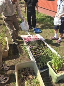 植物を育てるということ