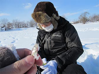 釣れるかな？わかさぎ釣り体験！