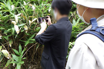 長官山登山