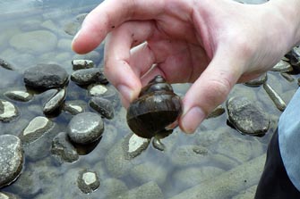 ドキドキ しのつ湖釣り体験！