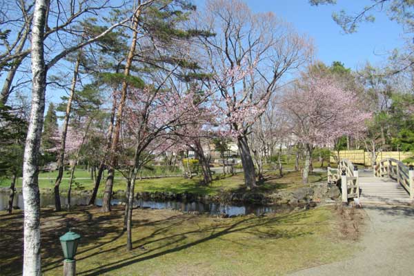 5月活動日誌