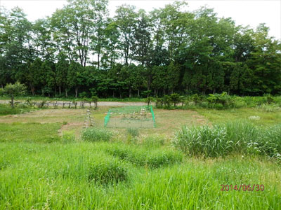 夏の気配漂う、6月