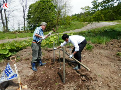 匠の技冴える、5月