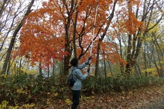 長官山で山歩き体験