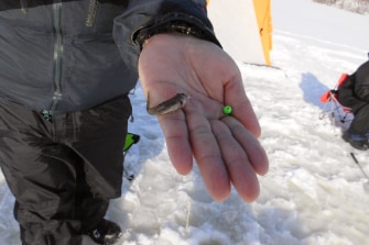 ワカサギ釣り体験