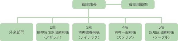 看護部 組織図