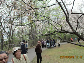 平岡公園 梅の花見ツアー